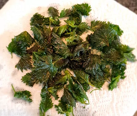 Frittierte Brennesseln